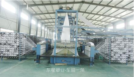 东星塑业集团六大核心优势领跑国内吨袋集装袋市场