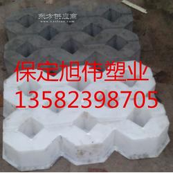 井字植草砖塑料模盒 旭伟塑业生产厂家